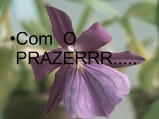 Com  O PRAZERRR..... 