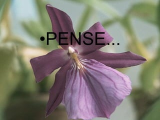 PENSE... 
