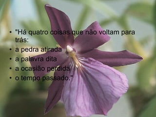 "Há quatro coisas que não voltam para trás: a pedra atirada a palavra dita a ocasião perdida o tempo passado." 