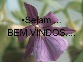 Sejam ... BEM VINDOS.... 