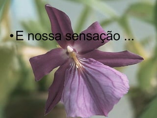 E nossa sensação ... 