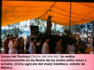Danza del Tlaxinqui (Señor del Monte). Se realiza
exclusivamente en las fiestas de los santos entre mayo y
octubre. (Ciclo agrícola del maíz) Xalatlaco, estado de
México.
 