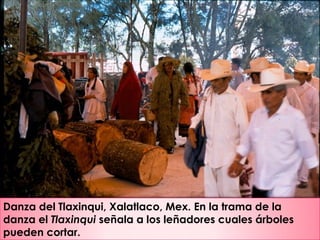 Danza del Tlaxinqui, Xalatlaco, Mex. En la trama de la
danza el Tlaxinqui señala a los leñadores cuales árboles
pueden cortar.
 