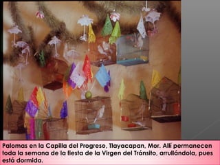 Palomas en la Capilla del Progreso, Tlayacapan, Mor. Allí permanecen
toda la semana de la fiesta de la Virgen del Tránsito, arrullándola, pues
está dormida.
 