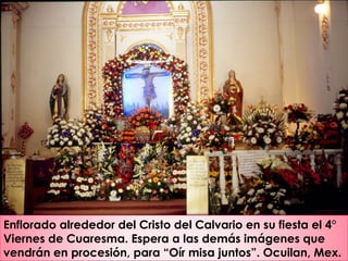 Enflorado alrededor del Cristo del Calvario en su fiesta el 4°
Viernes de Cuaresma. Espera a las demás imágenes que
vendrán en procesión, para “Oír misa juntos”. Ocuilan, Mex.
 