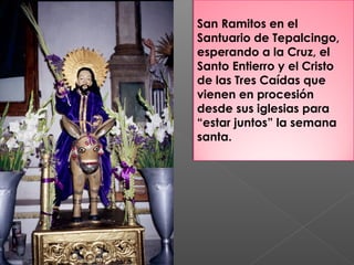 San Ramitos en el
Santuario de Tepalcingo,
esperando a la Cruz, el
Santo Entierro y el Cristo
de las Tres Caídas que
vienen en procesión
desde sus iglesias para
“estar juntos” la semana
santa.
 