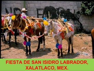 FIESTA DE SAN ISIDRO LABRADOR,
XALATLACO, MEX.
 