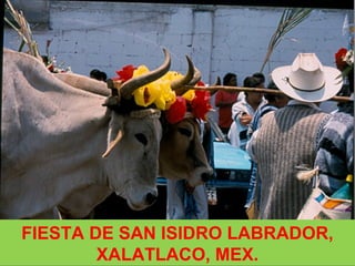 FIESTA DE SAN ISIDRO LABRADOR,
XALATLACO, MEX.
 