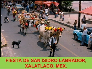 FIESTA DE SAN ISIDRO LABRADOR,
XALATLACO, MEX.
 