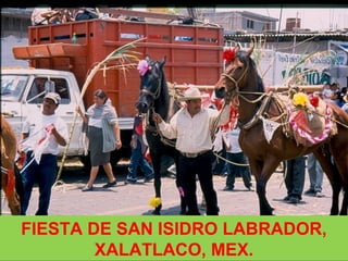 FIESTA DE SAN ISIDRO LABRADOR,
XALATLACO, MEX.
 