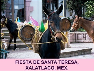 FIESTA DE SANTA TERESA,
XALATLACO, MEX.
 