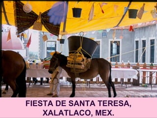 FIESTA DE SANTA TERESA,
XALATLACO, MEX.
 