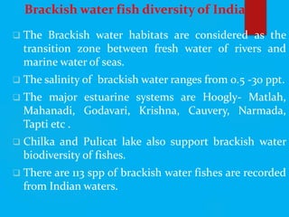 Brackish water fish diversity of India
 The Brackish water habitats are considered as the
transition zone between fresh water of rivers and
marine water of seas.
 The salinity of brackish water ranges from 0.5 -30 ppt.
 The major estuarine systems are Hoogly- Matlah,
Mahanadi, Godavari, Krishna, Cauvery, Narmada,
Tapti etc .
 Chilka and Pulicat lake also support brackish water
biodiversity of fishes.
 There are 113 spp of brackish water fishes are recorded
from Indian waters.
 