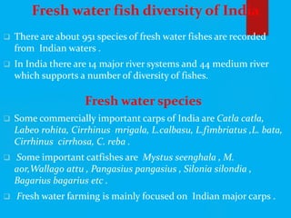 Fresh water fish diversity of India
 There are about 951 species of fresh water fishes are recorded
from Indian waters .
 In India there are 14 major river systems and 44 medium river
which supports a number of diversity of fishes.
Fresh water species
 Some commercially important carps of India are Catla catla,
Labeo rohita, Cirrhinus mrigala, L.calbasu, L.fimbriatus ,L. bata,
Cirrhinus cirrhosa, C. reba .
 Some important catfishes are Mystus seenghala , M.
aor,Wallago attu , Pangasius pangasius , Silonia silondia ,
Bagarius bagarius etc .
 Fresh water farming is mainly focused on Indian major carps .
 