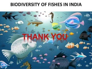 Fish Biodiversity and Conservation