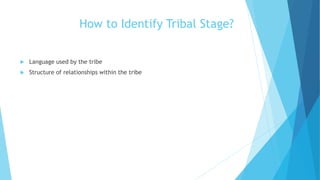 How to Identify Tribal Stage?
 Language used by the tribe
 Structure of relationships within the tribe
 