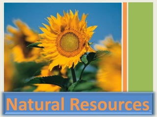 Natural Resources
1
 