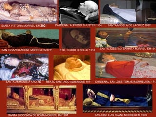 SANTA VITTORIA MORREU EM  303 SANTA ANGELA DE LA CRUZ 1932 SAN JOSE LUIS RUANI  MORREU EM 1909 CARDENAL ALFREDO SHUSTER 1954   BEATO SANTIAGO ALBERIONE 1971 SANTA GIOCONDA DE ROMA MORREU EM 1107  SANTA JOSEFINA BAKHITA MORREU EM1947 SAN IGNAZIO LACONI  MORREU EM1781 CARDENAL SAN JOSE TOMASI MORREU EM 1713 SANTA AMMONISIA AÑO  727 BTO. EGIDIO DI BELLO 1518 