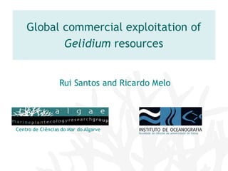 Global commercial exploitation of
Gelidium resources
Centro de Ciências do Mar do Algarve
Rui Santos and Ricardo Melo
 