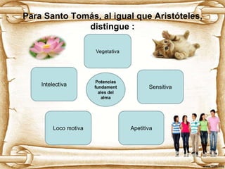 Para Santo Tomás, al igual que Aristóteles,
distingue :
Vegetativa

Intelectiva

Loco motiva

Potencias
fundament
ales del
alma

Sensitiva

Apetitiva

 