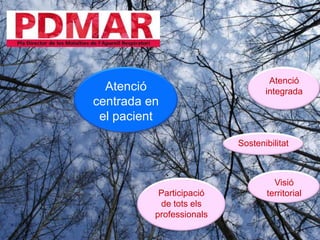 8Atenció centrada en elpacientAtenció integradaSostenibilitatVisió territorialParticipació de totselsprofessionals