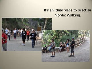 It’s an ideal place to practise
        Nordic Walking.
 