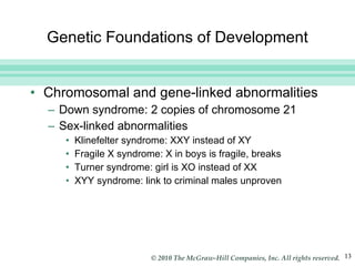 Genetic Foundations of Development Chromosomal and gene-linked abnormalities Down syndrome: 2 copies of chromosome 21 Sex-linked abnormalities Klinefelter syndrome: XXY instead of XY Fragile X syndrome: X in boys is fragile, breaks Turner syndrome: girl is XO instead of XX XYY syndrome: link to criminal males unproven 