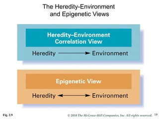 The Heredity-Environment  and Epigenetic Views Fig. 2.9   