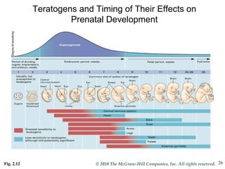 Fig. 2.12 Teratogens and Timing of Their Effects on Prenatal Development 