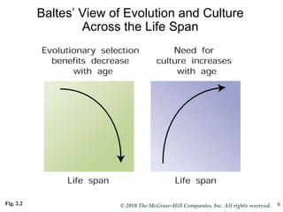 Fig. 2.2 Baltes’ View of Evolution and Culture Across the Life Span 