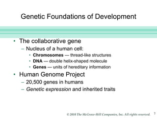 Genetic Foundations of Development The collaborative gene Nucleus of a human cell: Chromosomes  —  thread-like structures   DNA  —  double helix-shaped molecule Genes  —  units of hereditary information Human Genome Project 20,500 genes in humans Genetic expression  and inherited traits 