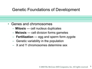 Genetic Foundations of Development Genes and chromosomes Mitosis  — cell nucleus duplicates Meiosis  —  cell division forms gametes Fertilization  —  egg and sperm form zygote Genetic variability in the population X and Y chromosomes determine sex 