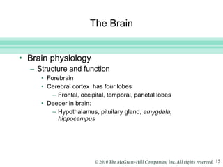 The Brain Brain physiology Structure and function Forebrain Cerebral cortex  has four lobes Frontal, occipital, temporal, parietal lobes Deeper in brain:  Hypothalamus, pituitary gland,  amygdala, hippocampus 