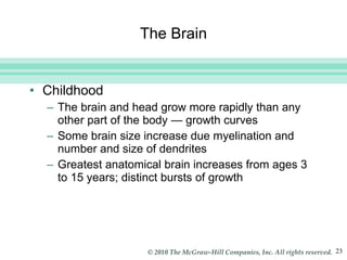 The Brain Childhood The brain and head grow more rapidly than any other part of the body  —  growth curves Some brain size increase due myelination and number and size of dendrites Greatest anatomical brain increases from ages 3 to 15 years; distinct bursts of growth 