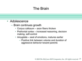 The Brain Adolescence Brain continues growth Corpus callosum – axon fibers thicken Prefrontal cortex – increased reasoning, decision making, self-control Amygdala – seat of emotions, matures earlier  Positive link between volume and duration of aggressive behavior toward parents 