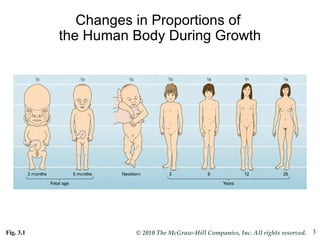 Fig. 3.1 Changes in Proportions of  the Human Body During Growth 