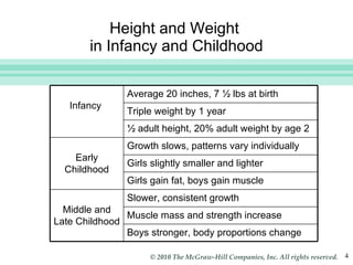 Height and Weight  in Infancy and Childhood Infancy  Average 20 inches, 7 ½ lbs at birth Triple weight by 1 year ½ adult height, 20% adult weight by age 2 Early Childhood Growth slows, patterns vary individually Girls slightly smaller and lighter Girls gain fat, boys gain muscle Middle and Late Childhood Slower, consistent growth Muscle mass and strength increase Boys stronger, body proportions change 