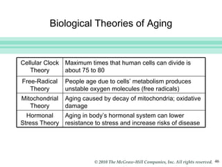 Biological Theories of Aging Cellular Clock Theory Maximum times that human cells can divide is about 75 to 80 Free-Radical Theory People age due to cells’ metabolism produces unstable oxygen molecules (free radicals) Mitochondrial Theory Aging caused by decay of mitochondria; oxidative damage Hormonal Stress Theory Aging in body’s hormonal system can lower resistance to stress and increase risks of disease 
