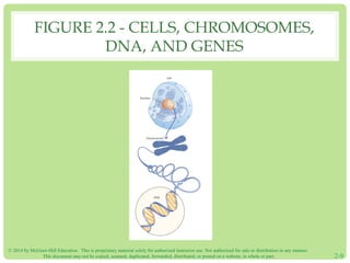 FIGURE 2.2 - CELLS, CHROMOSOMES, 
DNA, AND GENES 
© 2014 by McGraw-Hill Education. This is proprietary material solely for authorized instructor use. Not authorized for sale or distribution in any manner. 
This document may not be copied, scanned, duplicated, forwarded, distributed, or posted on a website, in whole or part. 2-9 
 