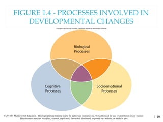 © 2015 by McGraw-Hill Education. This is proprietary material solely for authorized instructor use. Not authorized for sale or distribution in any manner.
This document may not be copied, scanned, duplicated, forwarded, distributed, or posted on a website, in whole or part.
1-10
FIGURE 1.4 - PROCESSES INVOLVED IN
DEVELOPMENTAL CHANGES
 