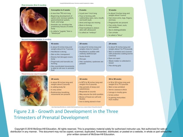 Santrock essentials5e ppt_ch02 | PPT