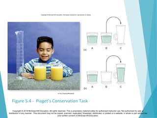 Santrock essentials5e ppt_ch05 | PPT