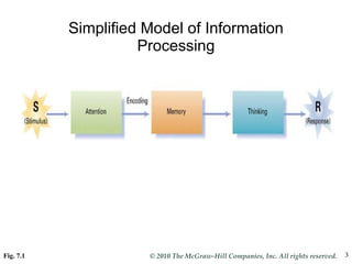 Simplified Model of Information Processing Fig. 7.1 