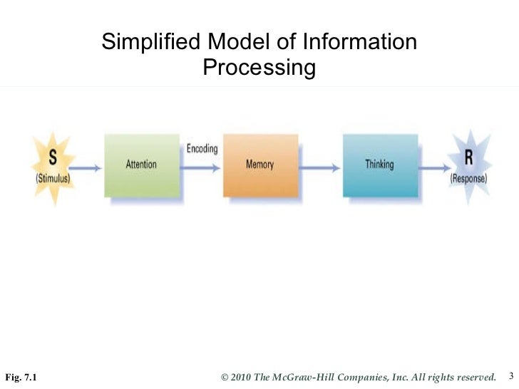information processing model
