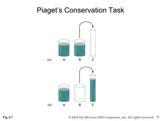 Piaget’s Conservation Task Fig. 6.7 