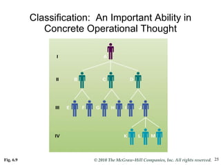 Classification:  An Important Ability in Concrete Operational Thought Fig. 6.9 
