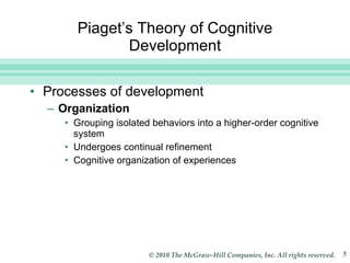 Piaget’s Theory of Cognitive Development Processes of development Organization Grouping isolated behaviors into a higher-order cognitive system Undergoes continual refinement Cognitive organization of experiences 