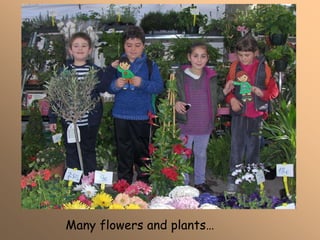 Many flowers and plants…
 