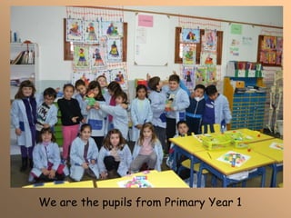 We are the pupils from Primary Year 1
 