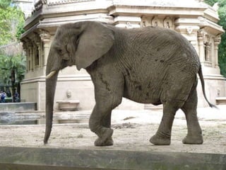 07/03/2012   Junta de Preparación MSJ-SS12   10
 